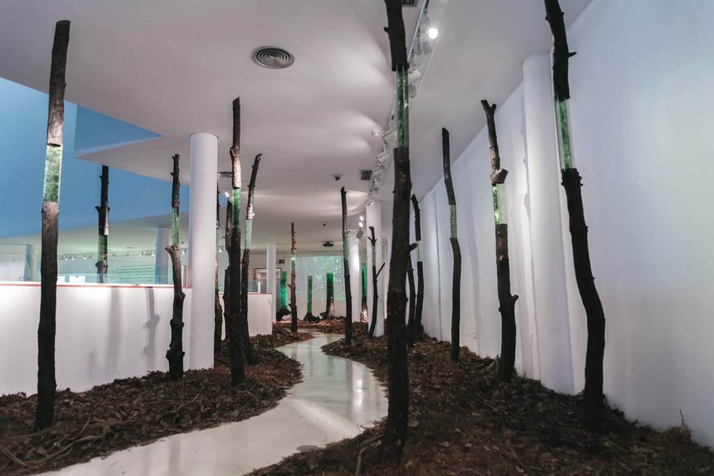 ‘El sueño de los árboles’, una instalación de Mario Valdés que invita a ……